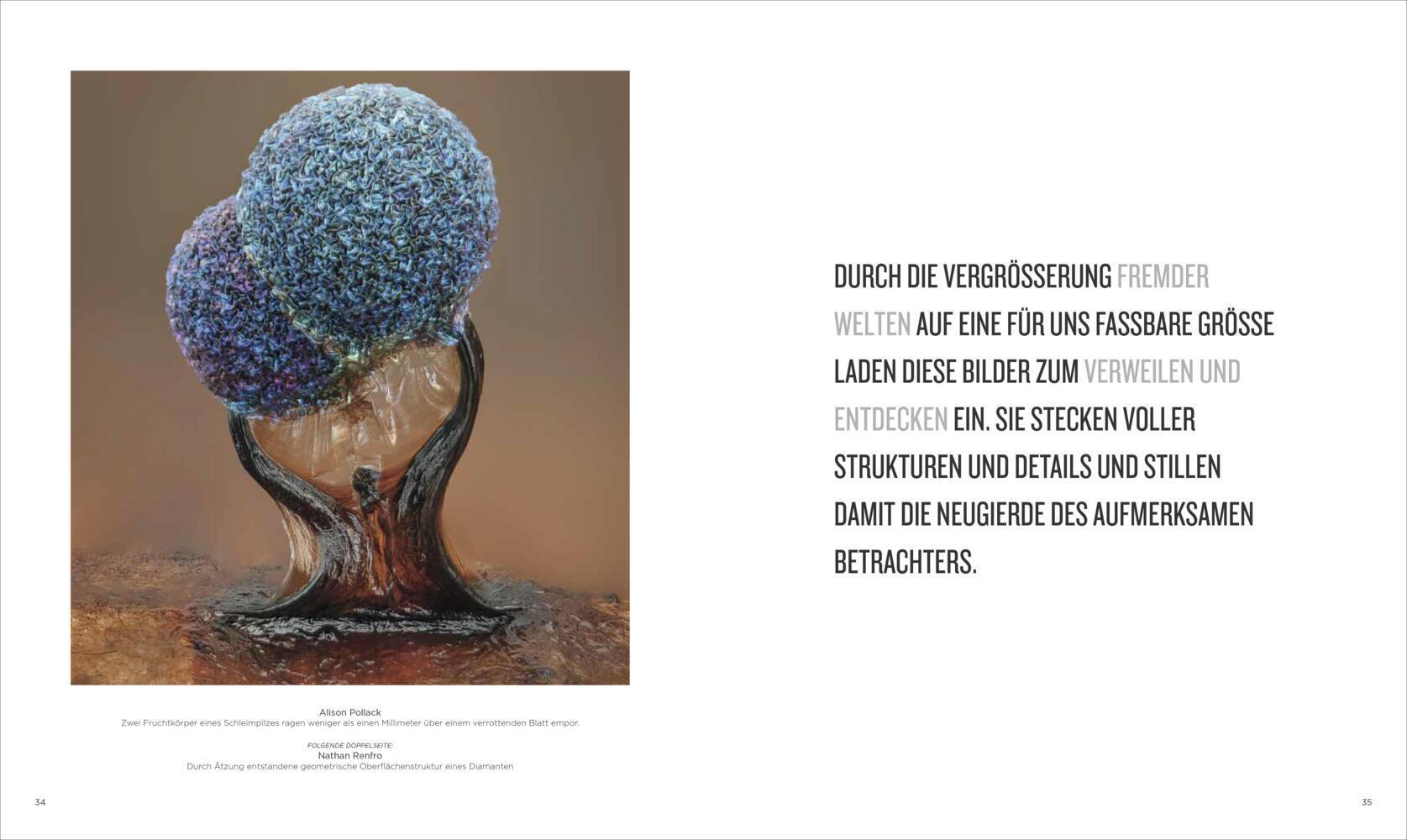 National Geographic Verborgene Welten - Einzigartige Fotografien