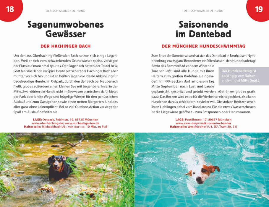 101 Sachen machen mit Hund - Alles, was ihr in & um München erlebt haben müsst